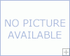 A PET�S TEN COMMANDMENTS